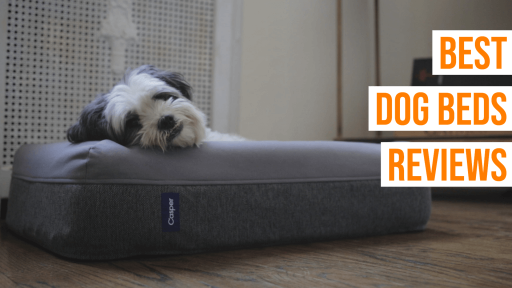 TOP 10 Best Dog Beds to Buy in 2019 PetsUpdate