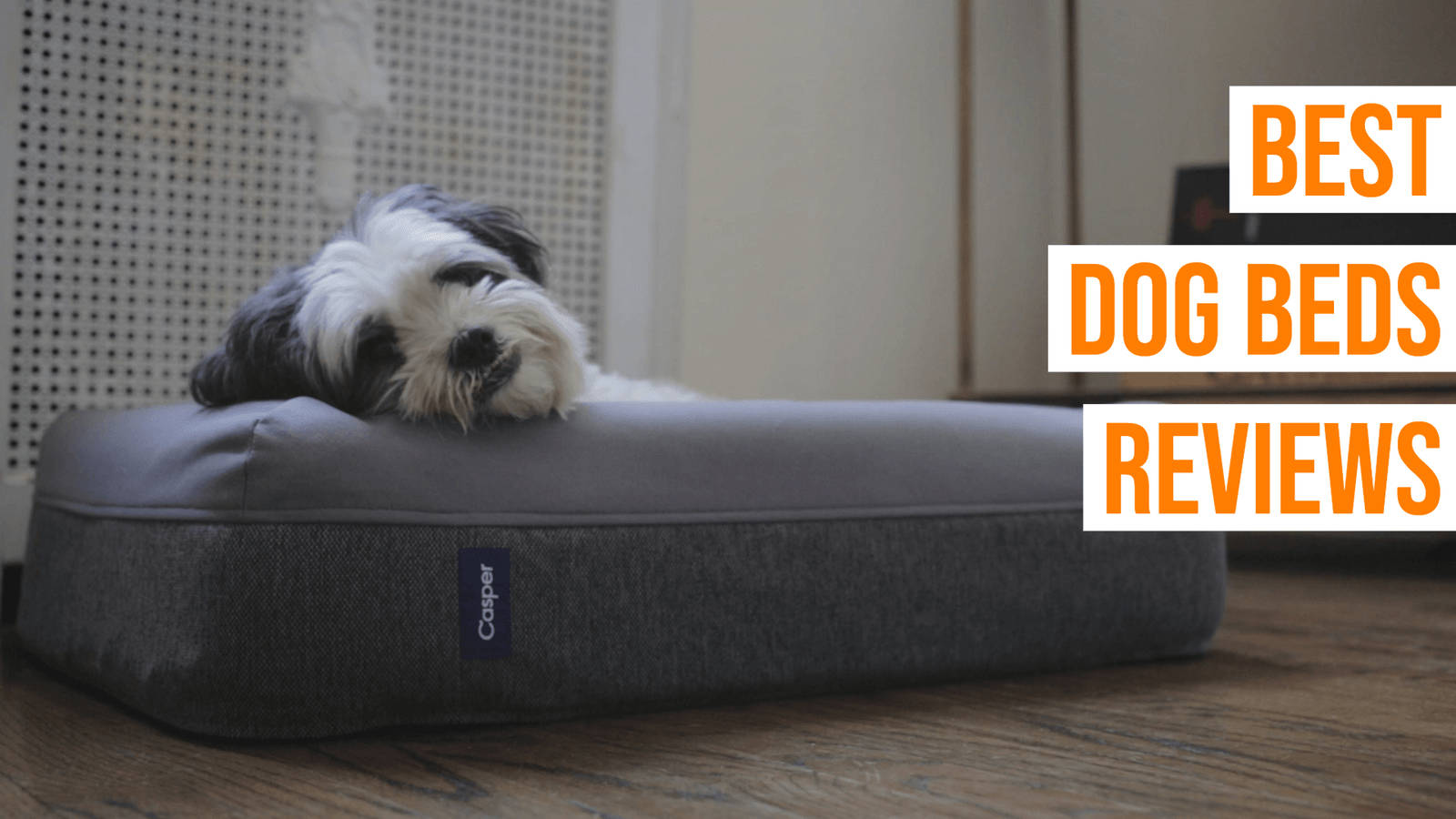 Best Dog Beds Reviews