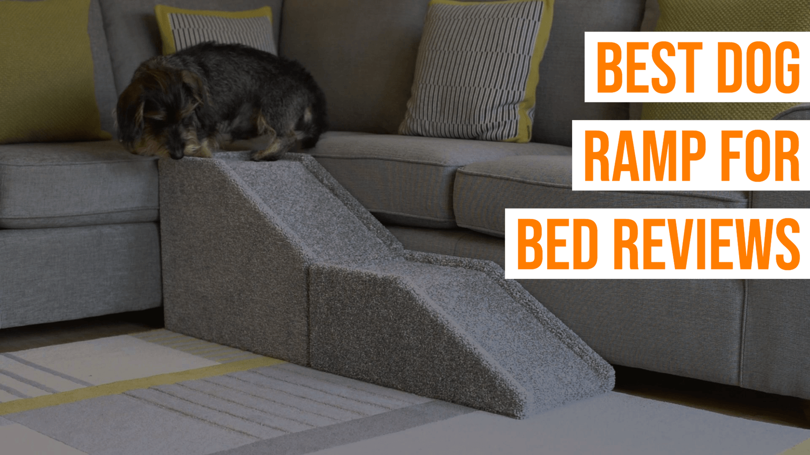 TOP 10 Best Dog Ramp For Bed To Buy In 2021 - PetsUpdate