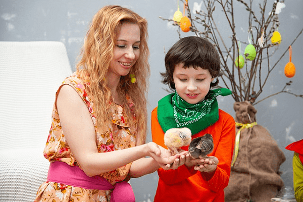 How To Pet A Bird